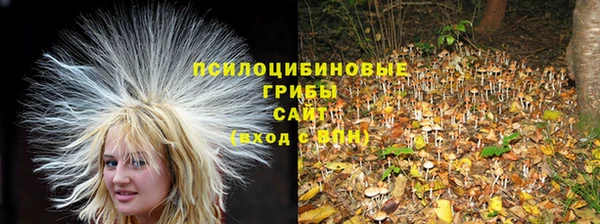 альфа пвп Куйбышев