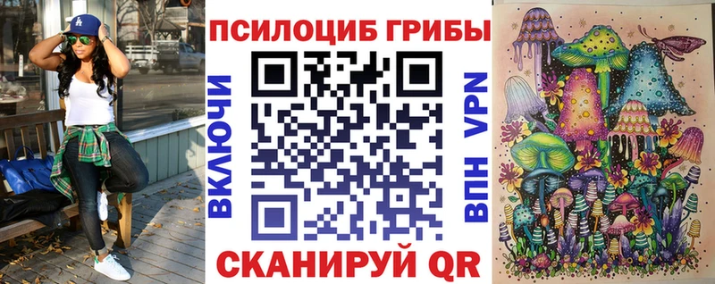 Галлюциногенные грибы MAGIC MUSHROOMS  Купить где  Дятьково 